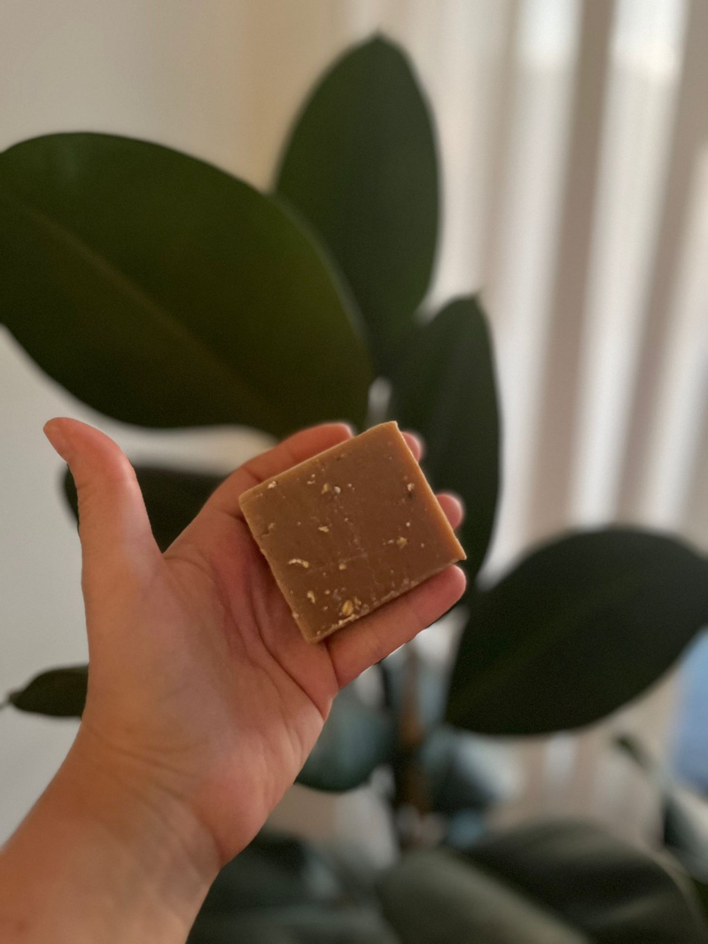 COCOA SOAP