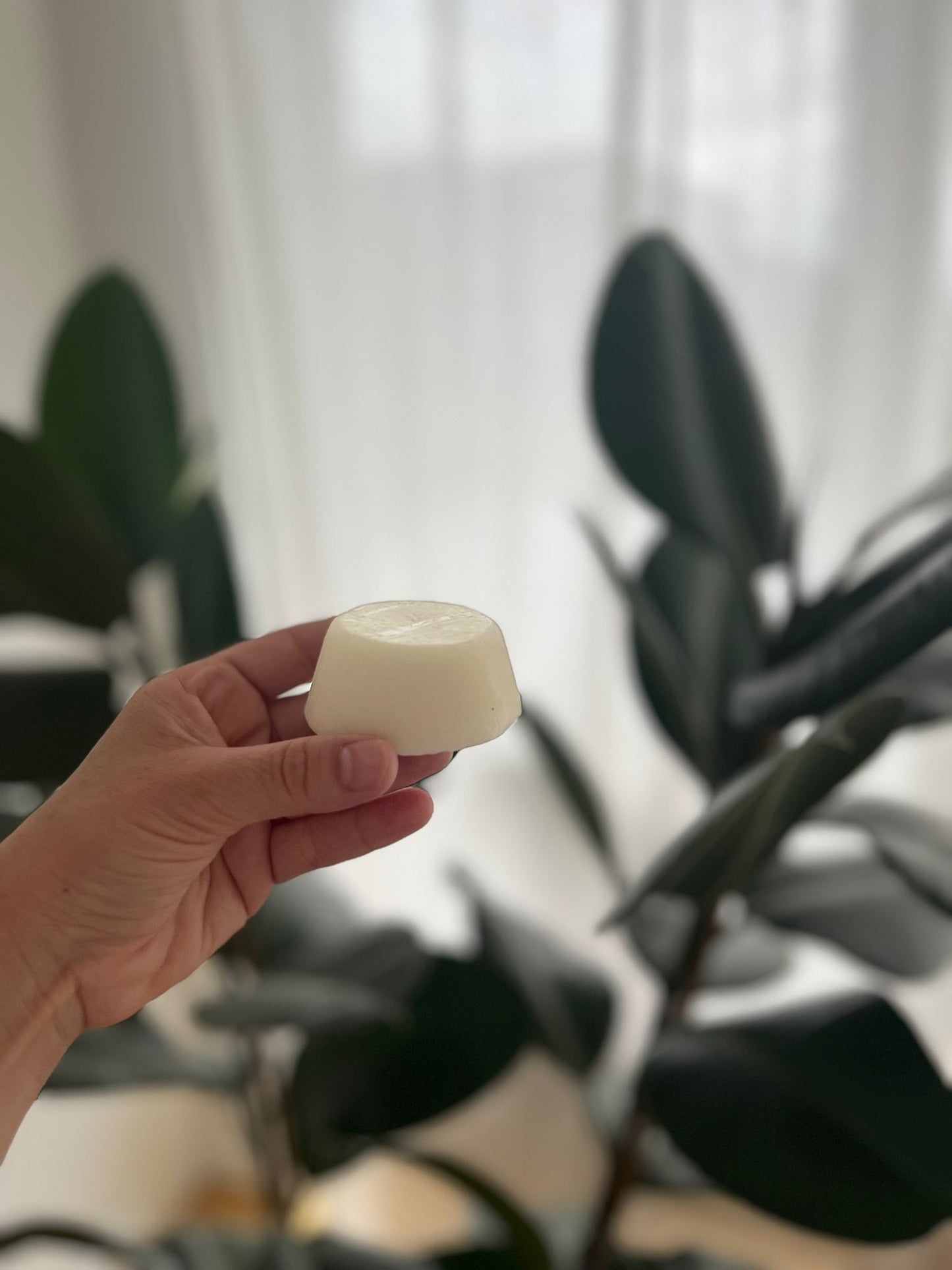 PRACAXI | hair conditioner
