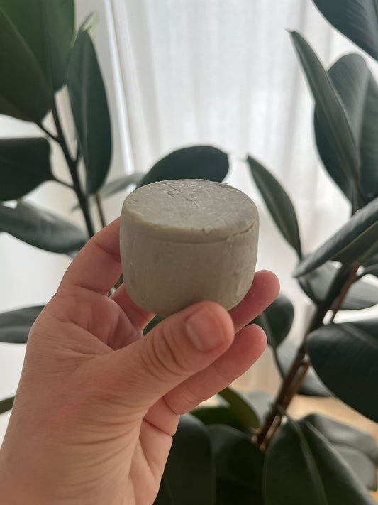 PRACAXI | solid shampoo